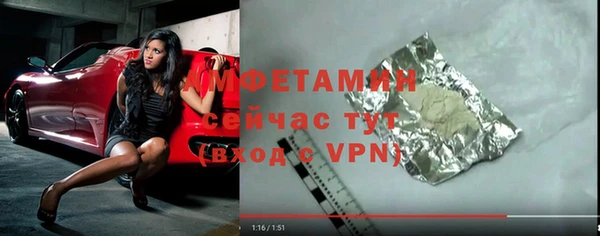 хмурый Пересвет