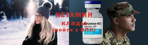 хмурый Пересвет