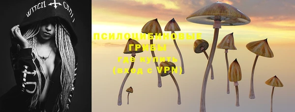 ешки Покачи