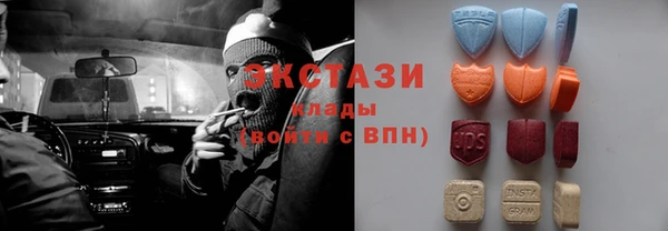 хмурый Пересвет