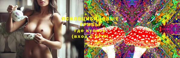 ешки Покачи