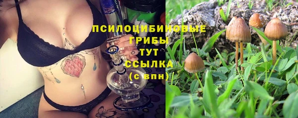 метамфетамин Пестово