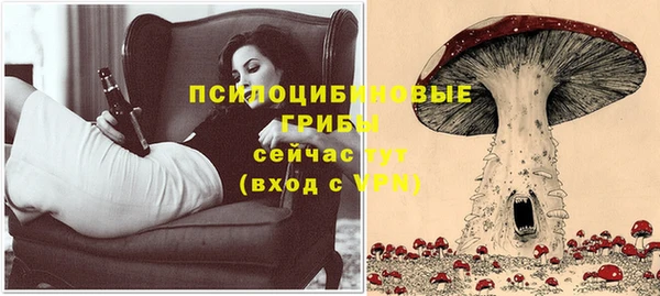 хмурый Пересвет