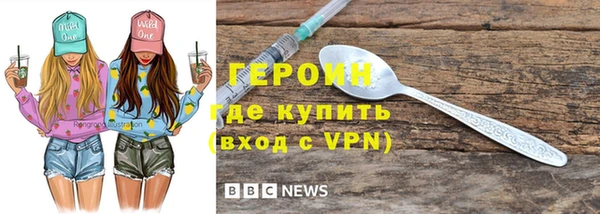 хмурый Пересвет