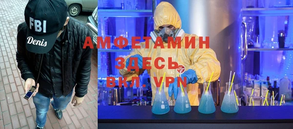 хмурый Пересвет