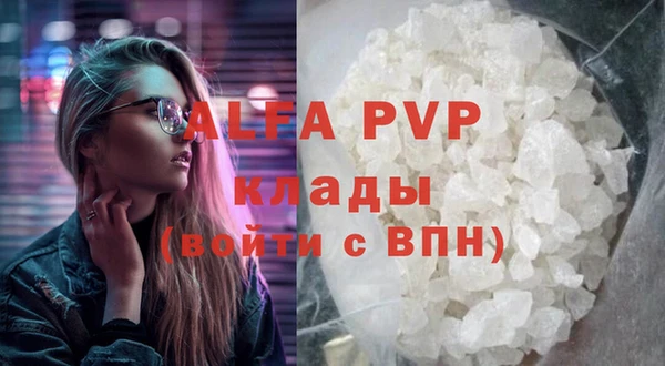 хмурый Пересвет
