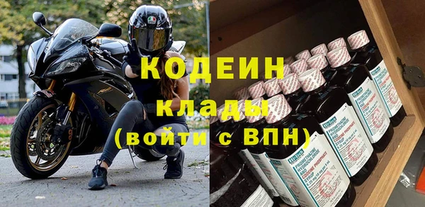 хмурый Пересвет