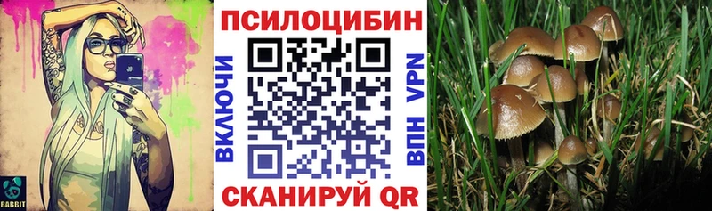 Купить закладки  Инсар  Галлюциногенные грибы MAGIC MUSHROOMS 